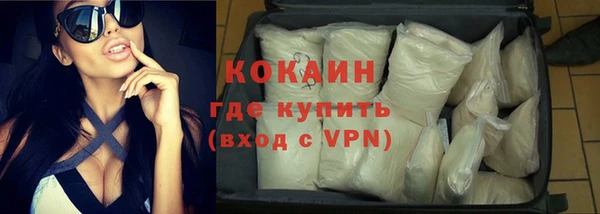 прущие грибы Зерноград