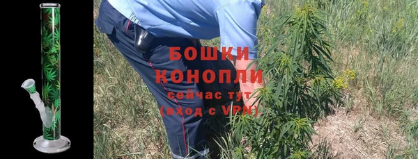 прущие грибы Зерноград