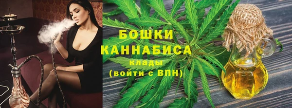 прущие грибы Зерноград