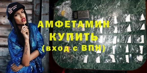 прущие грибы Зерноград